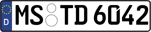 MS-TD6042
