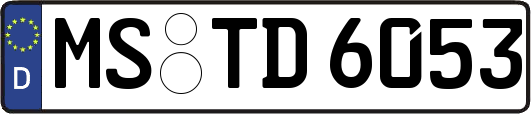 MS-TD6053