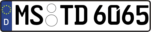 MS-TD6065