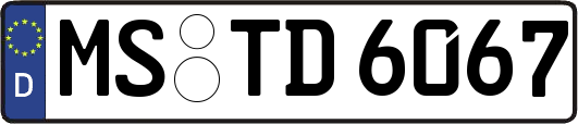 MS-TD6067
