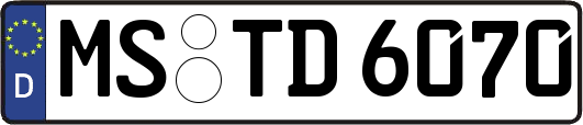 MS-TD6070