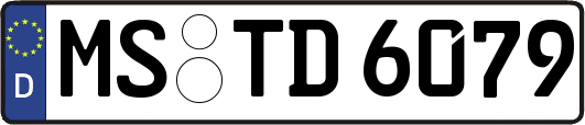 MS-TD6079