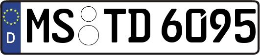 MS-TD6095