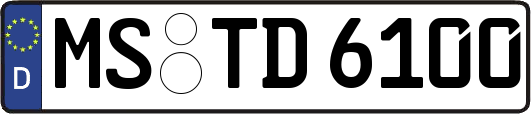 MS-TD6100