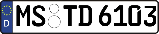 MS-TD6103