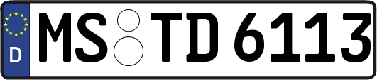MS-TD6113