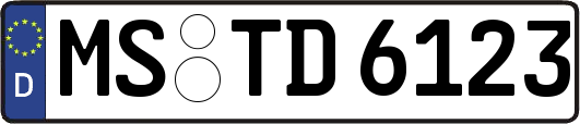 MS-TD6123