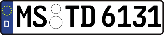 MS-TD6131