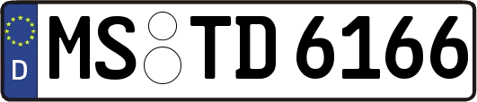 MS-TD6166