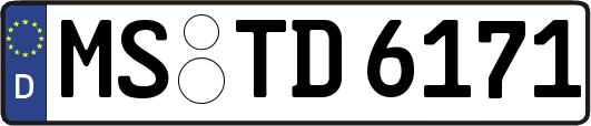 MS-TD6171