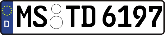 MS-TD6197