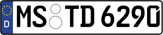 MS-TD6290
