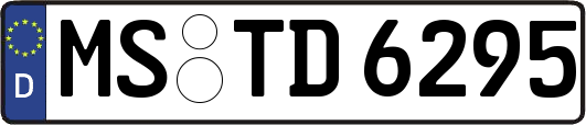 MS-TD6295