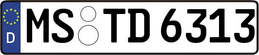 MS-TD6313
