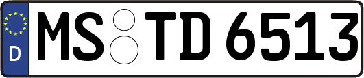 MS-TD6513