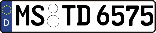 MS-TD6575