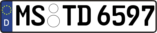 MS-TD6597