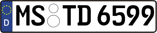 MS-TD6599