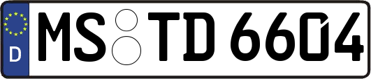 MS-TD6604