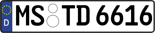 MS-TD6616