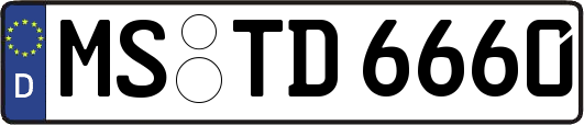 MS-TD6660