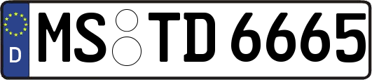 MS-TD6665