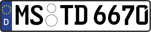 MS-TD6670