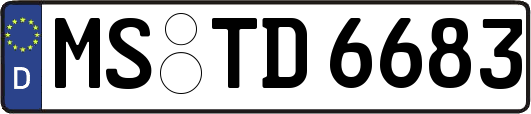 MS-TD6683