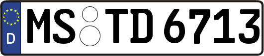 MS-TD6713