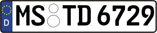 MS-TD6729