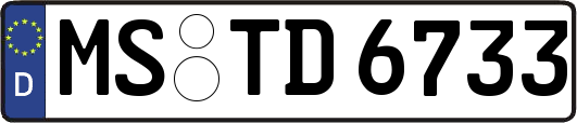 MS-TD6733