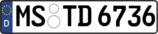MS-TD6736