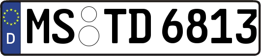 MS-TD6813