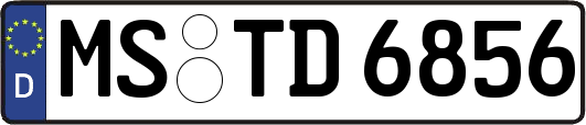 MS-TD6856