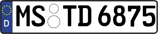 MS-TD6875