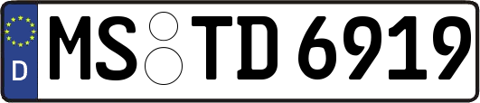MS-TD6919
