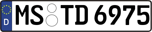 MS-TD6975