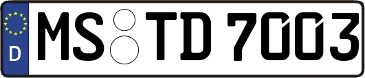 MS-TD7003