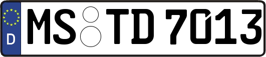 MS-TD7013