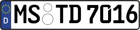 MS-TD7016