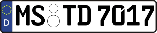 MS-TD7017