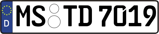 MS-TD7019