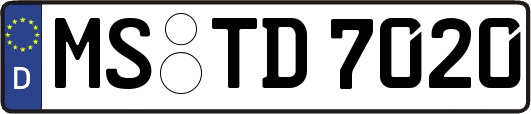 MS-TD7020