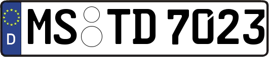 MS-TD7023
