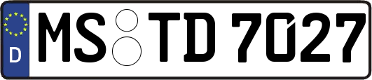 MS-TD7027