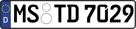 MS-TD7029