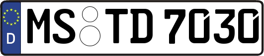 MS-TD7030