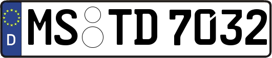 MS-TD7032