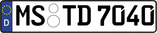 MS-TD7040