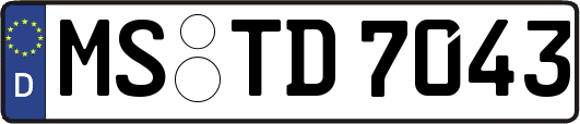MS-TD7043